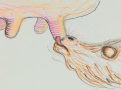 vers-augt-2011-tone-fink-recensione-review-kritik.jpg